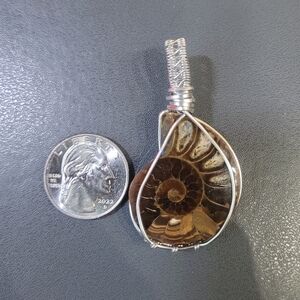 Wire Wrapped Ammonite Pendant